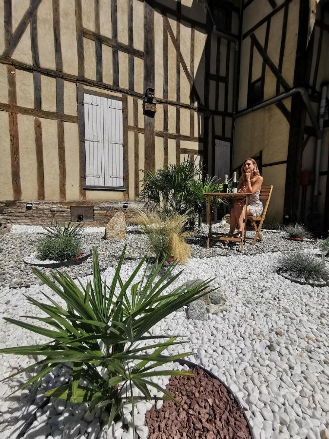 Апартаменты Les Cieux De La Cathedrale - Calme - Jardin - Wifi Труа Экстерьер фото